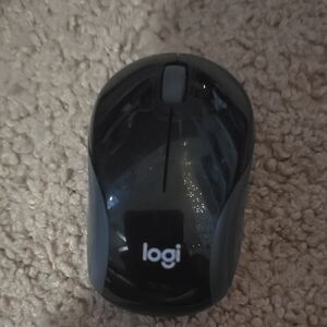 Logitech Black Mini Wireless Mouse